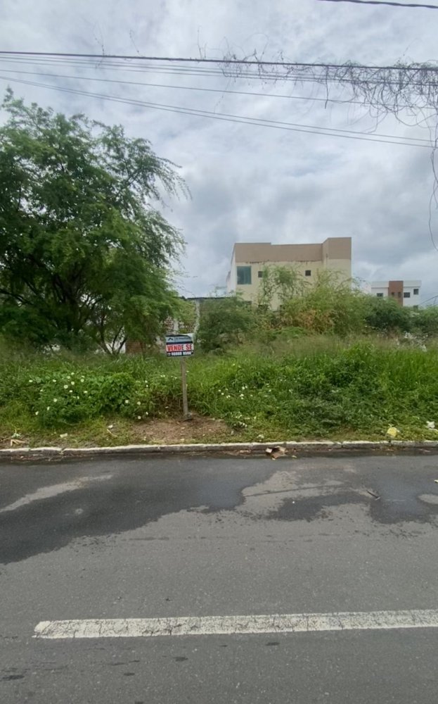 Terreno - Venda - Jequiezinho - Jequi - BA