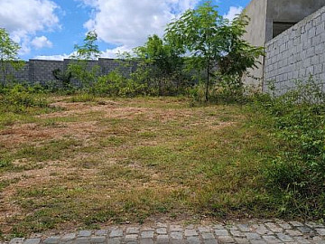 Terreno no Sunville 2